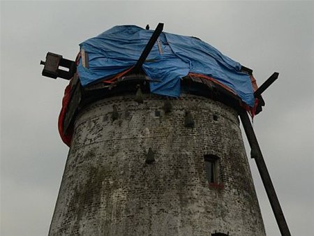 Vandaag gezien... - Overpelt