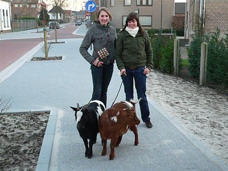 Vandaag gezien... - Neerpelt