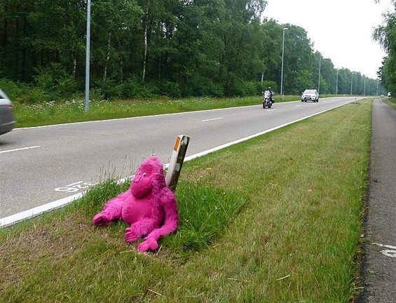 Vandaag gezien... - Meeuwen-Gruitrode