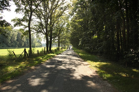 Vandaag gezien - Hechtel-Eksel