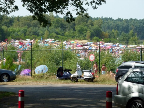 Vandaag gezien... - Houthalen-Helchteren