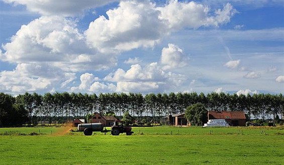 Vandaag gezien... - Lommel