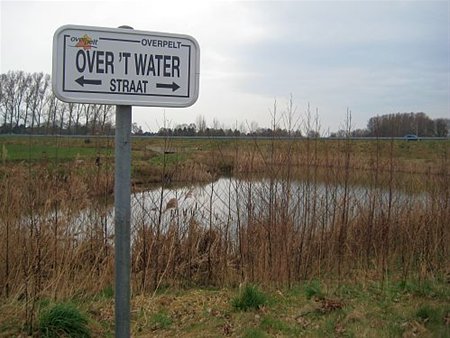 Vandaag gezien... - Overpelt