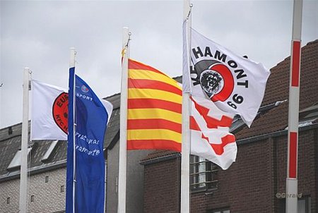 Vandaag gezien... - Hamont-Achel