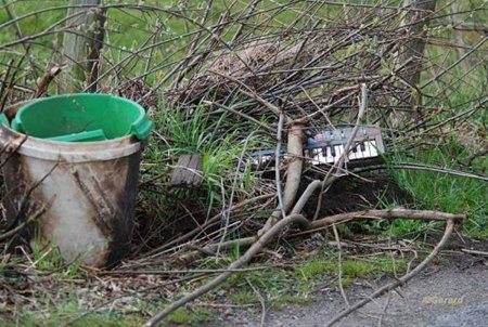 Vandaag gezien... - Hamont-Achel