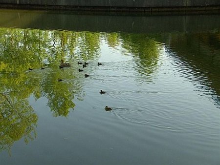 Vandaag gezien... - Neerpelt