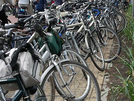 Vandaag gezien... - Neerpelt