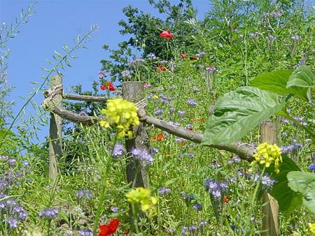 Vandaag gezien - Neerpelt