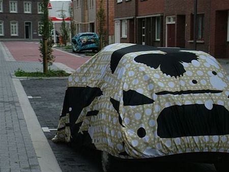 Vandaag gezien... - Neerpelt