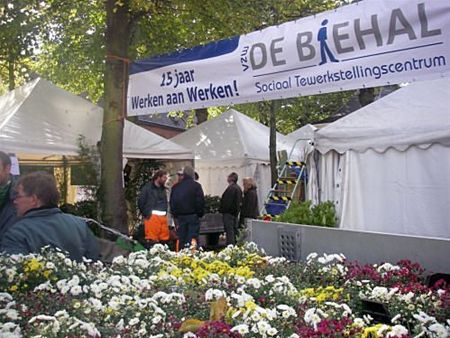 Vandaag gezien... - Lommel