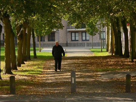 Vandaag gezien... - Overpelt