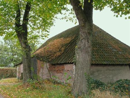 Vandaag gezien... - Neerpelt