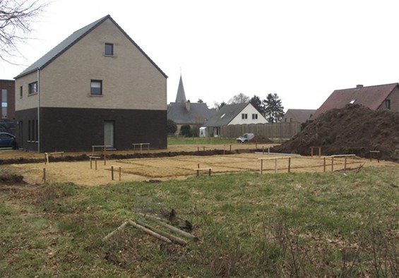 Vandaag gezien... - Meeuwen-Gruitrode