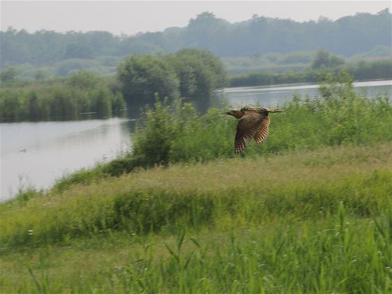 Vandaag gezien... - Bocholt