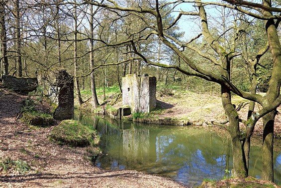 Vandaag gezien aan de Grote Fossée - Lommel