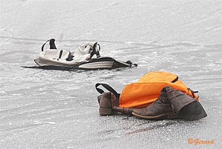 Vandaag gezien... - Hamont-Achel