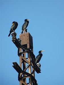 Vandaag gezien... - Overpelt