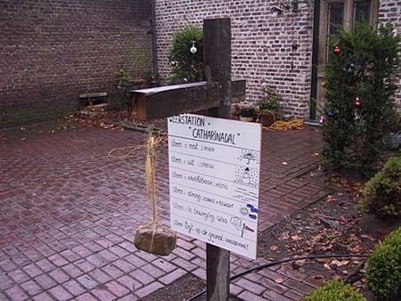 Vandaag gezien... - Hamont-Achel