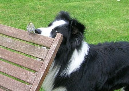 Vandaag gezien... - Neerpelt