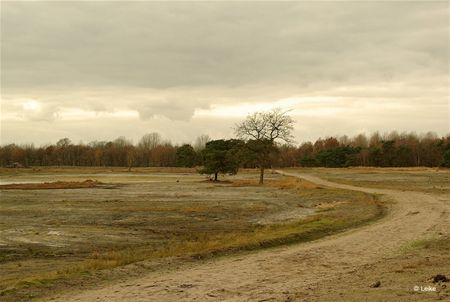 Vandaag gezien... - Neerpelt