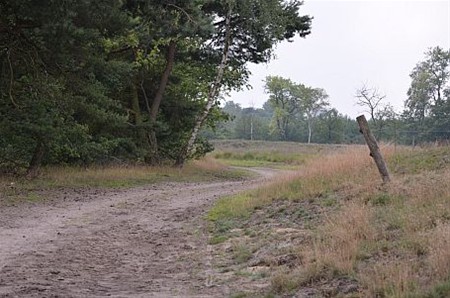 Vandaag gezien... - Neerpelt