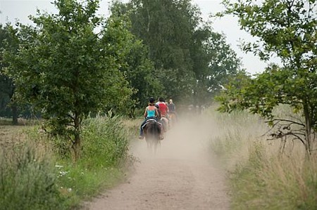 Vandaag gezien... - Hamont-Achel