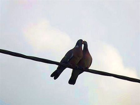 Vandaag gezien... - Lommel