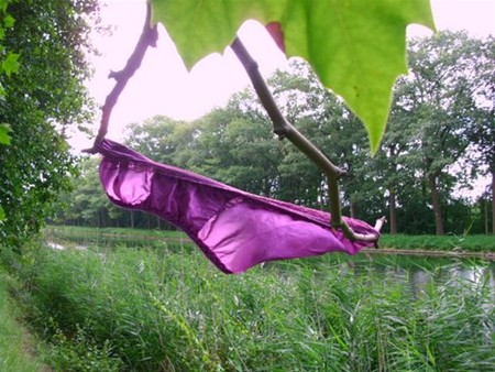 Vandaag gezien - Neerpelt