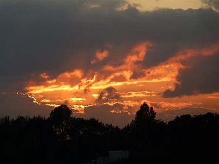 Vandaag gezien... - Neerpelt