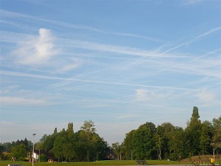 Vandaag gezien... - Lommel