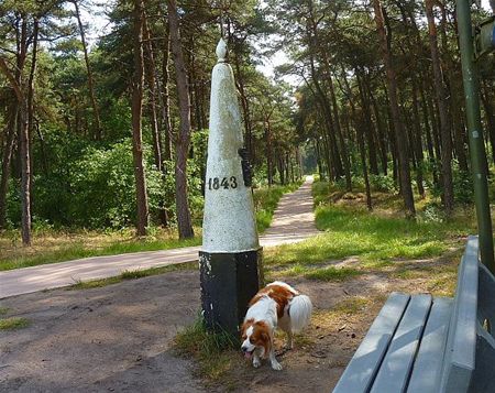 Vandaag gezien... - Lommel