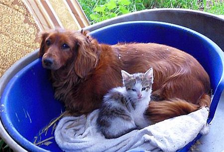 Vandaag gezien... - Lommel
