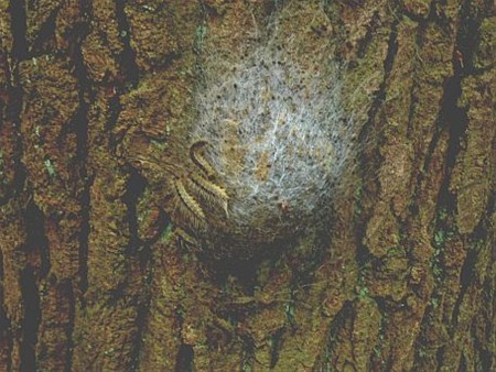 Vandaag gezien... - Lommel