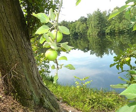Vandaag gezien... - Lommel