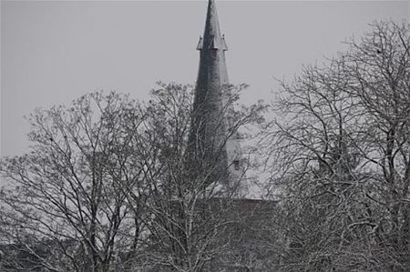 Vandaag gezien... - Neerpelt