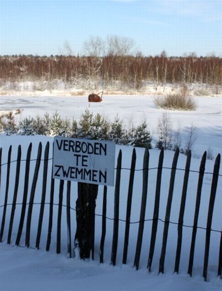 Vandaag gezien... - Lommel