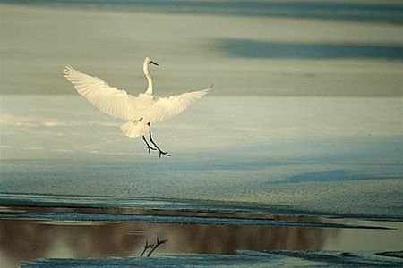 Vandaag gezien... - Neerpelt