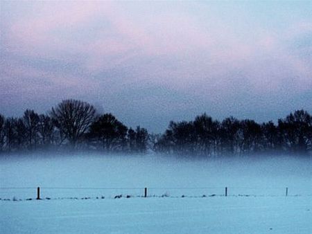 Vandaag gezien... - Neerpelt