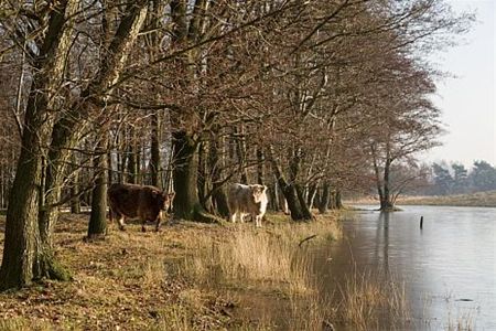 Vandaag gezien... - Neerpelt