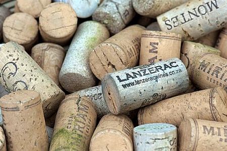 Vandaag gezien... - Hamont-Achel