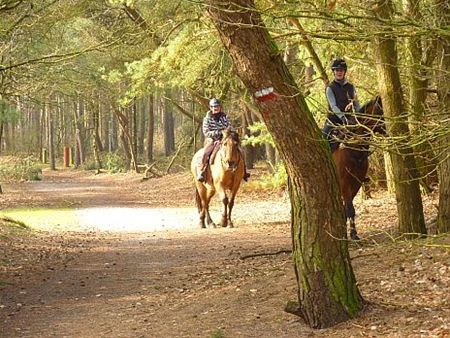 Vandaag gezien... - Lommel