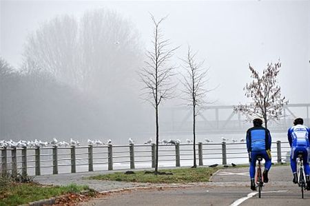 Vandaag gezien... - Neerpelt