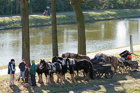 Vandaag gezien... - Neerpelt