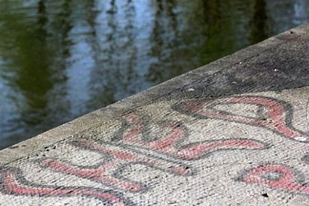 Vandaag gezien... - Neerpelt