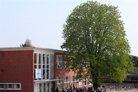 Vandaag gezien... - Neerpelt