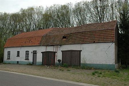 Vandaag gezien... - Neerpelt