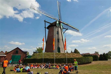 Vandaag gezien... - Neerpelt