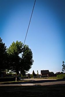 Vandaag gezien... - Hamont-Achel