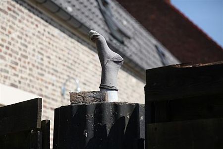 Vandaag gezien... - Overpelt