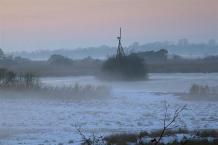 Vandaag gezien... - Neerpelt